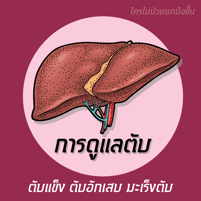 การดูแลตับ